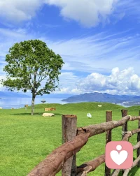 強迫癥的治療實施過程：在臨床上對于強迫癥的治療可以采用的方法藥物治療，心理治療和物理治療，根據患者病情進行有效的選擇。藥物治療上可以選擇應用五羥色胺再攝取抑制劑，如帕羅西汀，舍曲林，氟西汀，氟伏沙明等藥物進行一線推薦治療。也可以選擇二線藥物氯米帕明系統規范的治療，注意調整不良和治療劑量之間的選擇。而心理治療可以選擇森田療法，內觀療法，家庭療法，精神分析療法，認知行為療法等等，而認知行為療法作為一線推薦的治療方法，物理治療可以選選擇電休克治療，重復經顱磁刺激治療或者是深部腦刺激治療等方法。