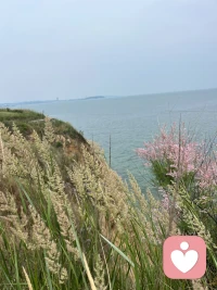 成功絕不喜歡會見懶漢，而是喜歡勤奮的人。配圖