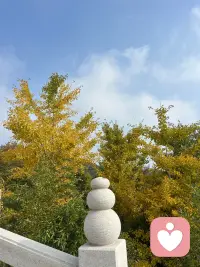 貧窮是不需要計(jì)劃的，致富才需要一個(gè)周密的計(jì)劃——并去實(shí)踐它配圖