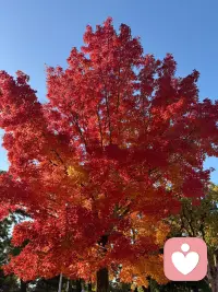 沒有人富有得可以不要別人的幫助，也沒有人窮得不能在某方面給他人幫助配圖