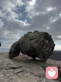 拥有梦想只是一种智力，实现梦想才是一种能力