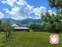 祝大家元旦快乐～未来💯好运𝟏𝟎𝟎％ ◡̈萬事胜意，希望新的一年 好运不请自来配图