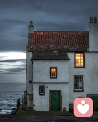 如果我们想要更多的玫瑰花，就必须种植更多的玫瑰树