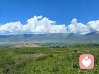 知世故而不世故，处江湖而远江湖配图