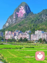 与其碌碌无为，不如兴风作浪