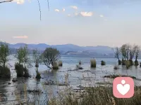 希望他是真的释怀而不是瞒着所有人偷偷难过