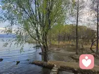 后来，我见到所有晚霞都没晚自习的晚霞那么美。配图