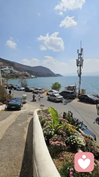 死亡不是生命的终点，遗忘才是。只要我们不曾遗忘，故人就未曾离去，我们也就有了来处。配图