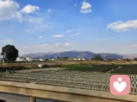 曾经以为校服是一种约束 ，现在才知道，那才是最无忧无虑的日子。配图