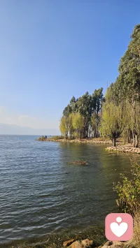 努力经营当下，直至未来明朗配图