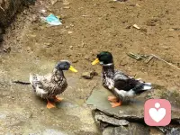 熬得住就出众，熬不住就出局，只有咬牙死犟，才能乘风破浪。我才不要弯道超车，我要甩的他们连尾灯都看不见。配图