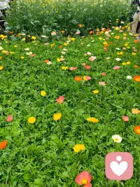 不必太紧，生活本来就是个麻烦的调味罐啊，至于他是甜还是咸，就要看你加糖还是加盐了配图