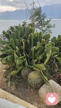 如果没有惊艳谁的话，那就试着温柔岁月吧配图