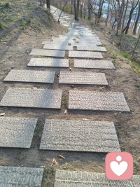 收起你那些该死的情绪，给我往上爬，我们高处见