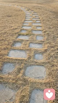 祝你此生，梦想光芒，野蛮生长，永不仿徨