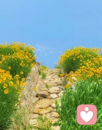 你呀 总是看到自己身上的小小瑕疵 然后失落 然后自卑 可你别忘了 你也闪闪发光 也温柔 也可爱 也在努力并一定会成为更好的人 所以请放宽心 你一定会一步步靠近更喜欢的自己