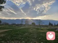 把收到的每一份温柔和爱意悉数珍藏，有时生活无情，随手熄灭我的几盏灯，在阴暗的角落里，这些就是在我心海上升起的太阳。