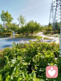 总有不期而遇的温柔和生生不息的希望。配图