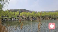 山是山 云是云 海是海 树是树 你是你 我的意思是你大可做自己。配图