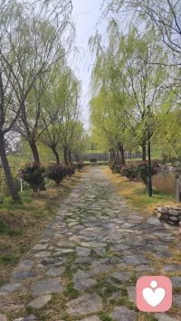 抵消的愧疚感
在生活中,我们常常会遇到这样的情况:做了一件不太光彩的事情后,内心会产生愧疚感。为了缓解这种不适,我们可能会做一些补偿性的好事来抵消之前的过错。这种心理现象在心理学上被称为抵消的愧疚感(Compensatory Guilt)。