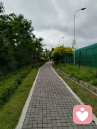 高敏感人如何跳过情绪，直接做事
你是否也是这样？
🔸做事时，被飞窜的想法和焦虑干扰，难以全身心投入
🔸与人交往时，忙着照顾别人感受、观察别人神情，害怕得到不好的回应
🔸明明有能力，却被压倒性的情绪封印了大部分潜能
 
🔍 高敏感人难以保持专注的核心原因：
把有限的能量和精力，都分给了情绪。
 
情绪 👉 专注力 👇
修炼专注力之前，要先处理那些压倒性的情绪。
 
几乎所有让你难受的情绪背后，
都藏着一个隐秘的信念：
 
羞耻 → “我不够好”“我一无是处”
内疚 → “我这么做是有罪的”
焦虑 → “我一定要…否则就完了”
 
信念是所有情绪的根。
只要花时间慢慢纠正错误的信念，
你就会重新找回专注力
—— 不再和别人比较，不再活在别人的凝视里，
不再被负面信念牵着鼻子走。配图