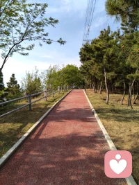 ｜肥皂水效应
➡ 肥皂水效应
你听说过“肥皂水效应”吗？它是一种心理学现象，指的是在批评或指出他人错误时，如果能够先给予对方一些正面的评价或赞美，然后再提出批评，对方会更容易接受。这种现象也被称为“三明治批评法”，即在批评的内容夹在两个表扬之间，从而减少批评的负面效应。
 
➡ 肥皂水效应的原理
肥皂水效应的核心在于心理调适和接受度。人们在面对批评时，往往会本能地产生抵触情绪。但如果在批评之前给予一些正面的评价，可以缓解这种抵触情绪，让对方在心理上更容易接受批评。这种效应基于心理学中的“积极强化理论”，即通过正面的反馈来增强对方的接受度。
 
➡ 肥皂水效应的影响
在教育领域，肥皂水效应可以帮助教师更好地管理学生，激励学生改进行为。例如，教师可以先表扬学生的优点，再指出需要改进的地方。在企业管理中，肥皂水效应也适用于员工管理，通过先肯定员工的贡献，再提出改进建议，可以提高员工的接受度和改进意愿。在个人生活中，这种效应也可以帮助我们更好地与他人沟通，减少冲突。
 
➡ 如何运用肥皂水效应
（1）先给予正面评价：在提出批评之前，先指出对方的优点或贡献。
（2）具体而真诚：确保正面评价是具体且真诚的，避免空洞的赞美。
（3）平衡批评和表扬：批评和表扬的比例要适当，避免过度批评或过度表扬。
（4）关注改进：在提出批评时，给出具体的改进建议，帮助对方成长。
 
➡ 用理性的心态看待肥皂水效应
肥皂水效应提醒我们，批评和表扬是相辅相成的。通过先给予正面评价，可以减少批评的负面效应，提高对方的接受度。无论是教育、管理还是个人生活，我们都应该学会运用这种技巧，以更积极的方式影响他人。记住，正面的反馈可以增强他人的自信心，而适当的批评则可以帮助他们成长。