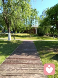 ｜吊桥效应
➡ 吊桥效应
你听说过“吊桥效应”吗？它是指当一个人在紧张或刺激的情境下，如过吊桥时，会不由自主地心跳加快。如果这个时候遇到另一个人，他可能会错误地将这种由情境引起的心跳加快理解为对方使自己心动，从而对对方产生感情。
 
➡ 吊桥效应的原理
吊桥效应的原理在于情绪二因素理论和归因理论。当人们经历恐惧或兴奋等强烈的情绪状态时，身体会产生包括心跳加速、血压升高等生理反应。这种生理激动的状态可以被个体误解为对当前陪伴人物的吸引，而非实际情绪状态的直接结果。
 
➡ 吊桥效应的影响
在恋爱中，吊桥效应可能导致人们对他人产生错误的情感认知。例如，在一起经历惊险刺激的活动后，人们可能会误以为对对方的喜欢是真实的爱情，而实际上这种感觉可能只是由情境引起的生理反应。在广告营销中，通过设计能够引起人们强烈情感反应的元素，如震撼的画面或动人的音乐，来吸引人们的注意力并激发他们的购买欲望。
 
➡ 如何应对吊桥效应
（1）理性分析：在经历强烈情绪后，不要急于对他人的情感做出判断，给自己一些时间来冷静思考。
（2）了解自己：学会区分由情境引起的生理反应和真正的情感吸引。
（3）多角度观察：在不同的情境下与对方相处，以更全面地了解对方和自己的感受。
 
➡ 用理性的心态看待吊桥效应
吊桥效应提醒我们，情感反应有时会受到环境因素的影响。在评估自己的情感时，要保持理性，避免因一时的生理反应而做出错误的判断。记住，真正的情感连接需要时间和多情境的验证。