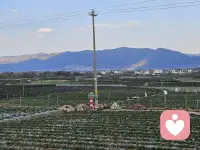 ｜沉没成本效应
➡ 沉没成本效应
你听说过“沉没成本效应”吗？它是指人们在决策时，往往会因为已经投入的不可挽回的成本（如时间、金钱、精力等）而做出非理性的决策。例如，你买了一张电影票，发现电影不好看，但因为已经花了钱，还是选择看完，这就是沉没成本效应在起作用。
 
➡ 沉没成本效应的原理
沉没成本效应的核心在于心理上的自我申辩和避免浪费的愿望。人们不愿意承认自己之前的决策是错误的，因此会继续投入资源，希望挽回损失。此外，人们也会因为不想浪费已经投入的成本，而选择继续坚持，即使这可能导致更大的损失。
 
➡ 沉没成本效应的影响
在投资领域，投资者可能会因为不愿意承认亏损，而继续向表现不佳的项目投入资金。在个人生活中，人们可能会因为已经投入的时间和精力，而继续维持一段不幸福的关系。
 
➡ 如何避免沉没成本效应
（1）理性分析：在做决策时，只考虑未来的成本和收益，而不是已经投入的成本。
（2）设定止损点：在投资或项目开始前，设定一个止损点，一旦达到这个点，就果断放弃。
（3）心理调适：学会接受损失，不要因为过去的投入而影响当前的决策。
 
➡ 用理性的心态看待沉没成本效应
沉没成本效应提醒我们，过去的投入不应该影响当前的决策。无论是投资还是生活，我们都应该学会及时止损，避免更大的损失。记住，理性分析和果断决策是避免沉没成本效应的关键。配图