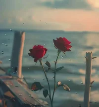 请允许我也可以情绪自由
就像天气，有时阴，有时晴
.
每次下雨，我就想呆在家里不出门
泡一壶热茶，看看书，发呆听雨，内心被一层层的治愈
.
记忆里，身边人都在教我们坚强，勇敢，
期望着我们能成为不动声色的大人
长大后才发现，太懂事的大人太累了！
.
想笑就笑 想哭就哭
就允许所有的情绪发生吧
.
偶尔的情绪低落
真的很正常 不要去苛责自己
人生很长
枯萎几天也没关系的
.
给自己一点独处时光，尽情的释放负能量吧，
反正也碍不着谁，不必焦虑，
每个人都会有低落的时候，
这都只是情绪上的感冒，迟早会好
憋在心里，压抑着强装开心才真的难受。
.
弗洛伊德曾说“未被表达的情绪永远不会消失，它们只是被活埋了，以后会以更丑陋的方式出现。”
.
定期释放负面情绪，并找到办法解决它
你会发现自己越发有韧性，越发松弛
允许一切的发生，无论好坏，那都是上天的礼物
.
允许自己失控
允许自己偶尔喝酒发疯
允许自己莫名其妙掉眼泪
允许自己走在路上突然崩溃
.
你不需要时刻端着
扮演那个情绪稳定的成年人
你可以张牙舞爪、歇斯底里
疯完之后反而会异常平静
然后该干嘛干嘛去
.
你也不必讨好任何人，把自己感受置顶
没有谁规定一定要面面俱到，
大可以勇敢一些，真实一些
人总要多为自己想一点，疼惜自己多一点！
.
这世间治愈的都是愿意自渡的人，作为独立的个体，
我们都应该接纳自己的一切，方能解开重担，轻松前行。
.
我坚信，没有走不通的路，只有不愿拐弯的人，生活怎么过，我们永远有选择权呀！