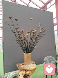 《金剛經》云：“因無所住而生其心。”
這世間的一切都在不斷的流轉變化。你的心時時刻刻也都在變化。這世上永遠不變的，其實就是變化。
所以無論我們現在是什么樣子，未來一切皆有可能。只需按住現在，過好當下。配圖