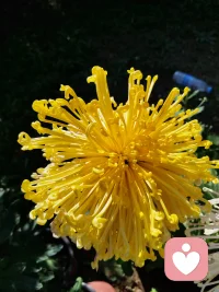 行動治百病。配圖