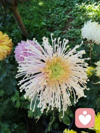 不要去猜別人
不要去改變別人
猜別人得累死——沒有結(jié)果
改變別人得氣死——沒有效果配圖