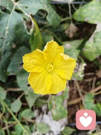 對回不去的時光說再見
以后的日子請快樂一點
你可以讓自己的余生過得不同凡響配圖