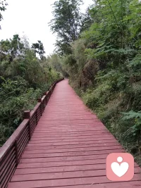 遇事要為做得到去想辦法，
不要為做不到找理由。配圖