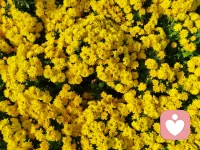 每个人都已经做了当下最好的选择。
每个人都已经做到了当下能做的最好。