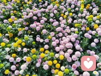 保持积极的心态，专注提升自己，生活自会回馈美好。