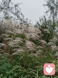 当潜意识与意识一致的时候，你才想行动。
当潜意识与意识一致的时候，做事才轻松。