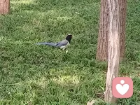 你聚焦什么就放大什么。