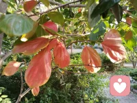 当你全神贯注的为你的理想奋斗的时候，全世界都会为你让路。