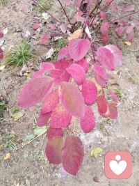 【坚持的复利】
时间是一位沉默的造物主，它最伟大的作品，往往不是石破天惊的瞬间，而是日复一日坚持后，悄然发生的奇迹。我们总在仰望远方的山峰，却常常忽略脚下第一步的力量。而坚持的复利，就藏在每天多学习多练习的那一分钟里。   说得太好了[爱心][爱心]