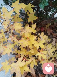 只要我们还拥有生命，我们就有能力、权利和资格在众多选择中，决定自己可以有多少成功快乐。