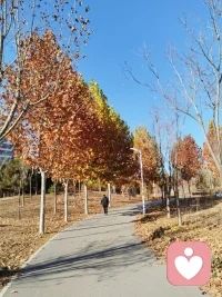 家不容易完美，但只要大家愿意反思、實(shí)驗(yàn)、調(diào)整，家都會(huì)越來(lái)越美好的。配圖