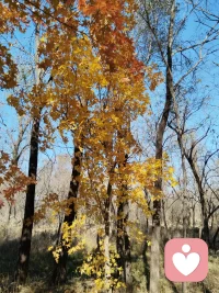 每個生命都是堅韌的，每個人都在努力讓自己活好。
每個人都可以找到讓自己活得更好的方法，并堅持下去。配圖