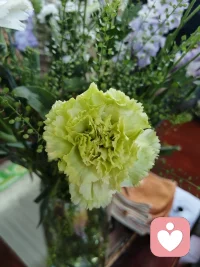 放棄改變他人，
是人生的頂級清醒。配圖