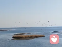 我們需要具備三種能力：
維持勇氣去改變必須改變的
平靜心境去接受能改變的
擁有能區分兩者的智慧