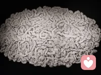 问题都是带着包装的礼物，只是需要你用正确的方式去打开。