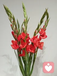 能让你产生强烈情绪的人，本质上不是他有多特别，而是他激活了你内心深处，那些被你藏起来、忽略掉、甚至不敢承认的「自己」配图