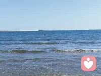 一个人如何才能拥有福报？不是说我们能力强，就一定有福。福报也有它的前因后果，要有福先培福。孝敬父母、随喜他人、慈爱大众、回报恩人，以及对有德者心生恭敬等，都是我们福报的源泉。配图