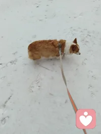 不管几岁，快乐万岁！配图