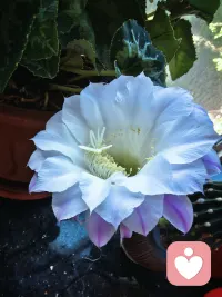孤立无援时，自力更生是爱自己的表现。
身边有资源时，敢于求助是爱自己的表现。 ​​​配图
